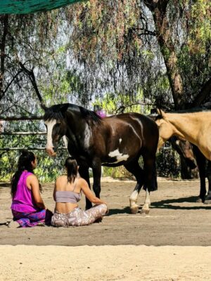 Yamila Reyna Instagram - En esta búsqueda de sanar, entender el porqué de este proceso que hoy atravieso, viví una de las mejores experiencias de encuentro conocimiento y auto reconocimiento. Constelacion con caballos, si lo sé, también pensé, naaaa están locos, pero me di la oportunidad de experimentarlo y fue… no sé ni cómo describirlo, no hay palabras para semejante vivencia.
Si pueden háganlo, es revelador y sanador para el alma y para uno mismo, me enseño y me mostró tanto, que me han sido herramientas para entender, transmutar y poder avanzar.
 @genholistica Te guía y te conecta con lo esencial, gracias!
Les dejo el dato: @equinoterapia_coyan 

Mención especial  @basauri por recomendármelo ❤️