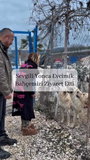 Yonca Evcimik Instagram - Değerli sanatçımız Yonca Evcimik’in bahçemizi ziyaret etmesi bizler için büyük bir mutluluk kaynağı olmuştur. Nazik ve anlamlı ziyaretleri için kendilerine içten teşekkürlerimizi sunarız.
Geçmişte patili dostumuz Nefes’e yuva olarak örnek bir duyarlılık sergileyen Sayın Yonca Evcimik’e, hayvan haklarına verdikleri destek ve gösterdikleri hassasiyet için ayrıca teşekkür ederiz.
Patili dostlarımızla birlikte sevgi ve neşe dolu anlarda yeniden bir araya gelmek dileğiyle. 🐾
@yoncaevcimik