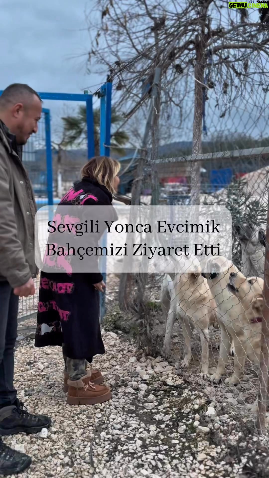 Yonca Evcimik - 14.1K Likes - Değerli sanatçımız Yonca Evcimik’in bahçemizi ziyaret etmesi bizler için büyük bir mutluluk kaynağı olmuştur. Nazik ve anlamlı ziyaretleri için kendilerine içten teşekkürlerimizi sunarız.
Geçmişte patili dostumuz Nefes’e yuva olarak örnek bir duyarlılık sergileyen Sayın Yonca Evcimik’e, hayvan haklarına verdikleri destek ve gösterdikleri hassasiyet için ayrıca teşekkür ederiz.
Patili dostlarımızla birlikte sevgi ve neşe dolu anlarda yeniden bir araya gelmek dileğiyle. 🐾
@yoncaevcimik