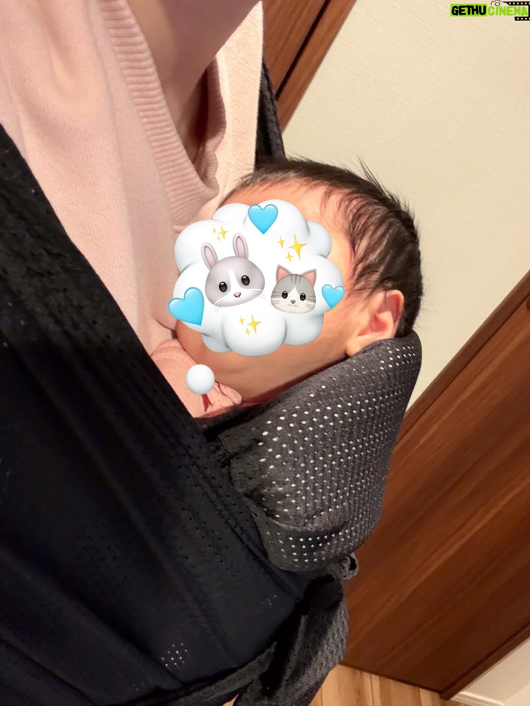 Yoshida Akari - 23.8K Likes - 最近の写真たち🩵🩷
.
色んなお友達やスタッフさんが
会いに来てくれて楽しい毎日🍼👶🏻
NMB48の衣装チームの子がベビ用の
パニエプレゼントしてくれたり、 
@matsunaga_mari さんは
ベビーリング💍プレゼントしてくれた🤍
そしてなぜかまりさんは家族しか入ってない
みてねにも入ってくれたwww
まぁ親族みたいなもんか🐱🤍
.
私はおうち時間が多いので
可愛いセットアップ集めがち🩷🩷
@esica.official のニットのセットアップは
妊娠中に見つけて買ってたの🤎🤎
@alo はこのピンクテンション着たら上がりそう⤴️と思って買った💘💘
.
娘と2人の時はドラクエに付き合ってもらってます🩵笑
7のリメイク版やってる😀
全然進まないけど🙂笑
オープニングの画面のまま一週間止まってた🤣🤣
今やっと二つ目の石板www
長く楽しめそうで何より🙂👏
.
そして今日はちょこちょこ泣きで
なにも進まないからコニーの抱っこ紐してみたら
口開けて爆睡でした💤
これつけてドラクエすればいいのか😀👍
.
娘のお洋服もたくさん聞いてもらえるので
お答えしますと…
❤️柄のロンパースは楽天で買った！
前ジップだからオムツ替えしやすいからオススメ！
🎀柄も買った👏
.
ミニーちゃんは
H&Mで買ったサイズ50
退院した時ブカブカだったのに
気づけばぴちぴちに😳！
でもほとんど買ってたお洋服大きかったので
1.2着はピッタリのがあって良かったと思う👍
.
ということで近況はこんな感じです！
YouTubeに出産レポも上げたので見てね👍🤍
近々質問コーナーもやります！
#子育て #新米ママ