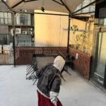 Yu Shuxin