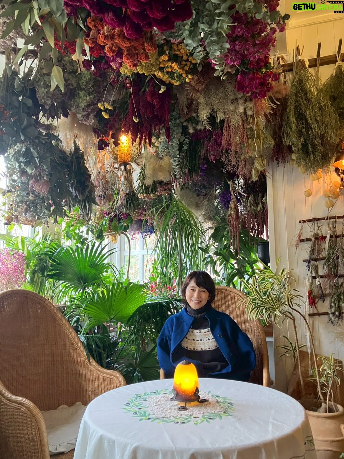 Yuriko Ishida - 273.3K Likes - ちょうど一ヶ月ほど前…クリスマスの頃
わたしは愛知県にある「ジブリパーク」に
行って参りました😊
念願のジブリパーク…
びっくりするほど広大な敷地に
映画の世界そのままの世界が広がっていました。
ジブリの世界で育った私としては
どこを訪れても胸がいっぱいになってしまい、
ほとんど涙目🥹で歩き回りました。
その記録「また会えたね！ジブリパークSP」。
1/23よりTverとLocipoにてご覧になれます。
(オンエア時は東海地方限定でした！)
あぁジブリの国に生まれて，幸せだ。
ジブリ愛。
本当に，ありがとうジブリ😭😊

ぜひご覧になってください😊😊

#また会えたねジブリパーク