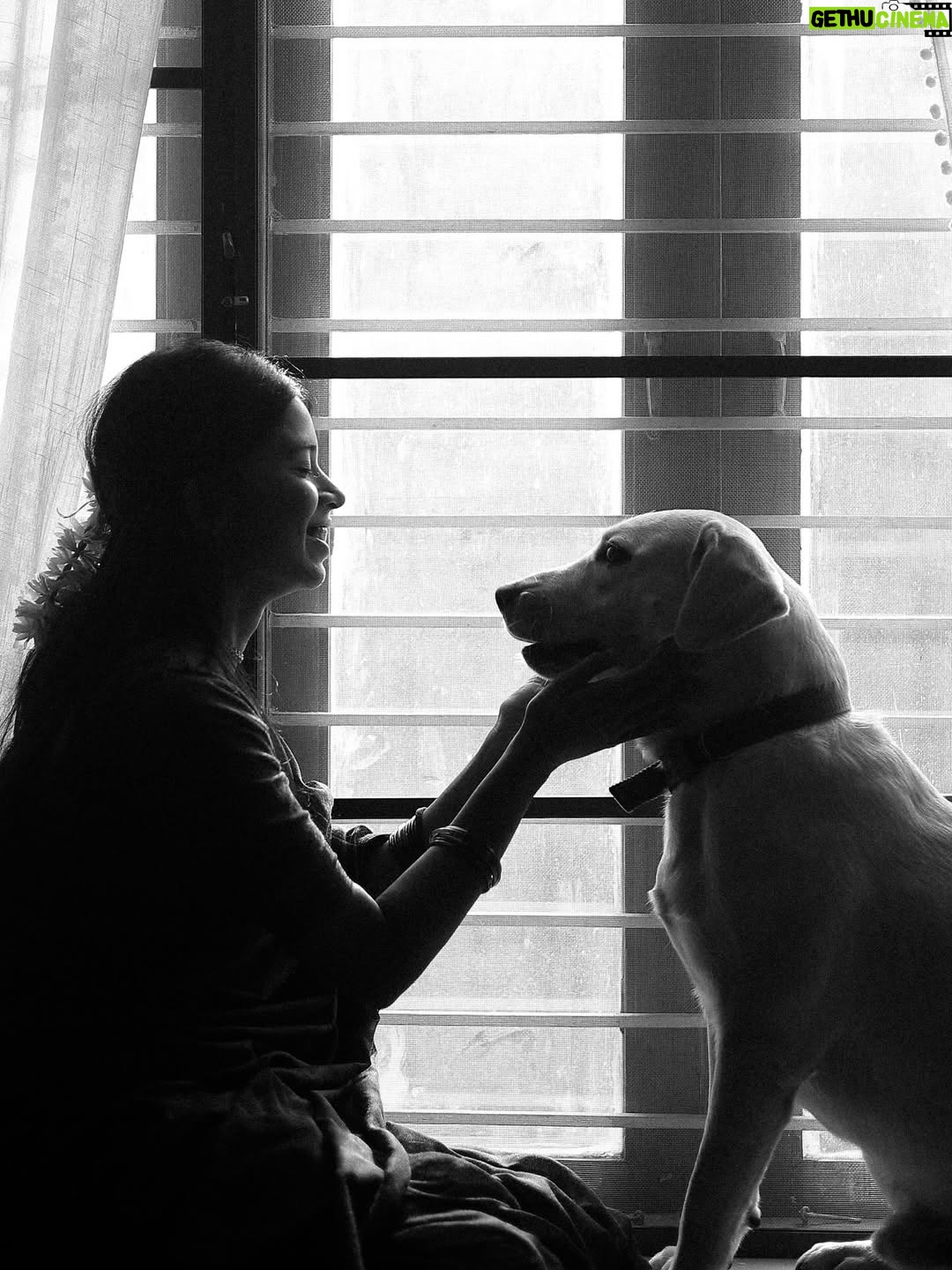 deedoll - 15.7K Likes - Thayaga NAAN Mariduven unakaga 🧿

Ft @deedoll RowDee🌙
Picture perfect @themanoj.stories 🫰🏻

#deedoll #rowdee #dee #🌸 #love #art #frame #dogmom