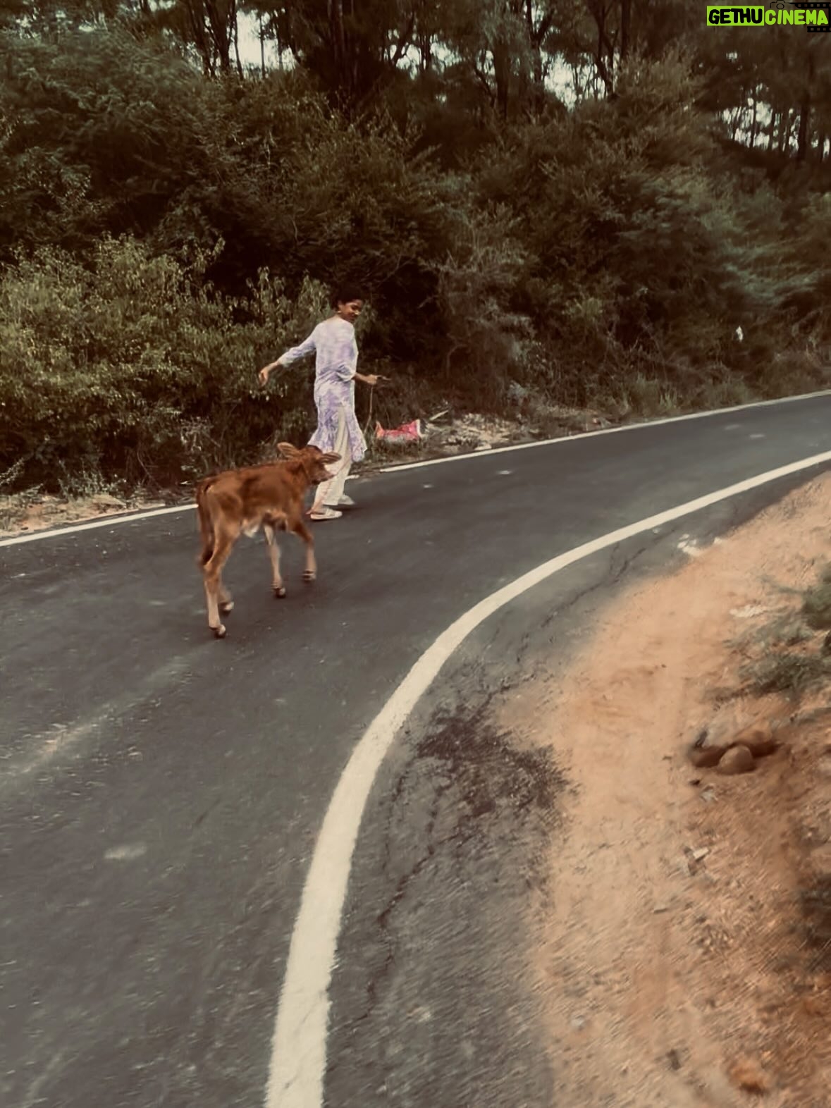 deedoll - 23.9K Likes - 🐮🙏🏻