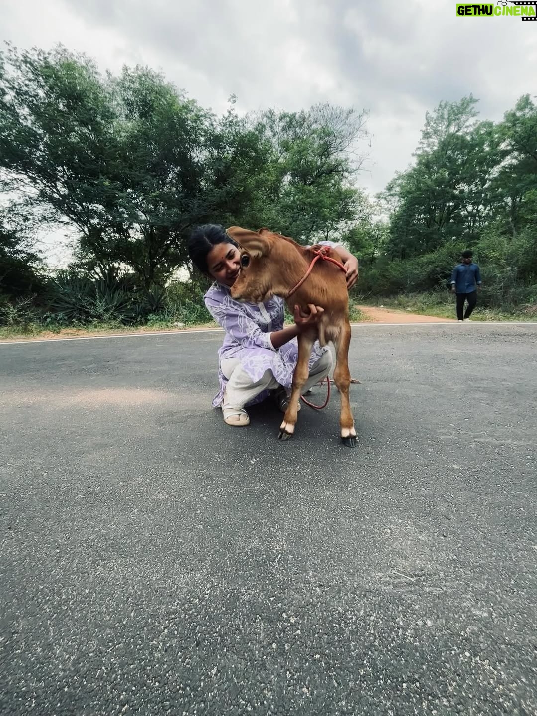 deedoll - 23.9K Likes - 🐮🙏🏻