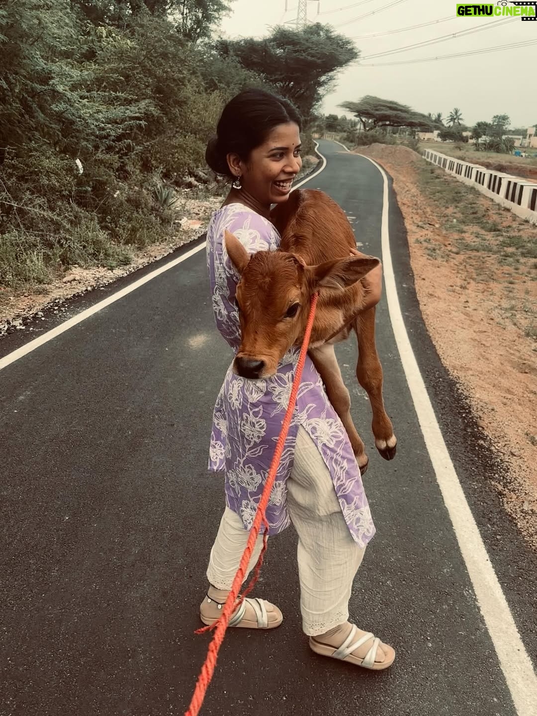 deedoll - 23.9K Likes - 🐮🙏🏻