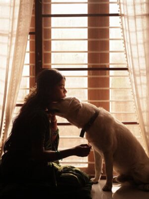 deedoll Instagram - Thayaga NAAN Mariduven unakaga 🧿

Ft @deedoll RowDee🌙
Picture perfect @themanoj.stories 🫰🏻

#deedoll #rowdee #dee #🌸 #love #art #frame #dogmom