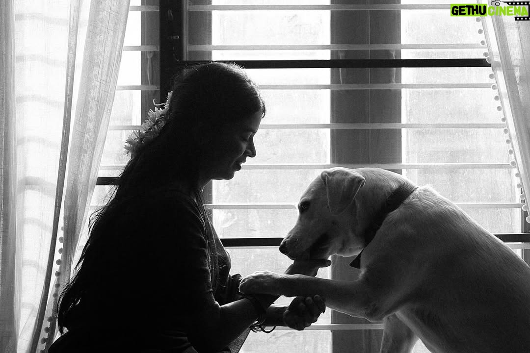deedoll - 15.7K Likes - Thayaga NAAN Mariduven unakaga 🧿

Ft @deedoll RowDee🌙
Picture perfect @themanoj.stories 🫰🏻

#deedoll #rowdee #dee #🌸 #love #art #frame #dogmom