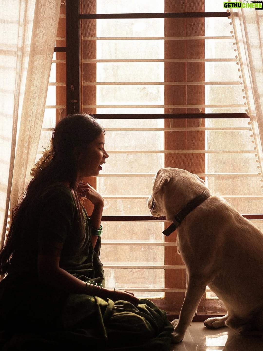 deedoll - 15.7K Likes - Thayaga NAAN Mariduven unakaga 🧿

Ft @deedoll RowDee🌙
Picture perfect @themanoj.stories 🫰🏻

#deedoll #rowdee #dee #🌸 #love #art #frame #dogmom