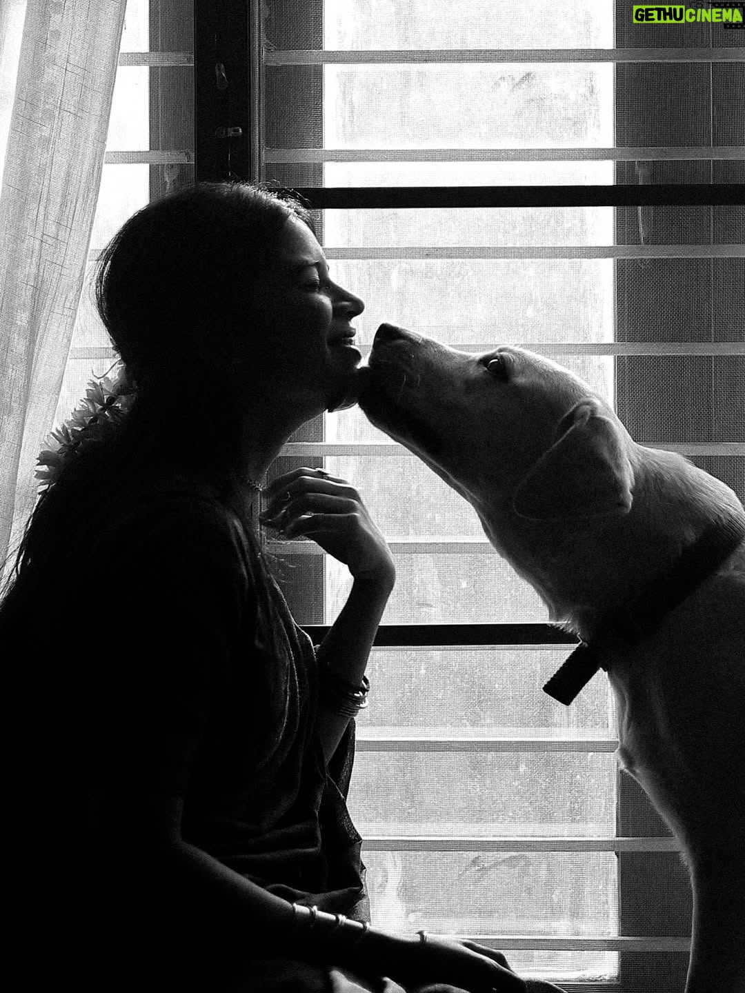 deedoll - 15.7K Likes - Thayaga NAAN Mariduven unakaga 🧿

Ft @deedoll RowDee🌙
Picture perfect @themanoj.stories 🫰🏻

#deedoll #rowdee #dee #🌸 #love #art #frame #dogmom