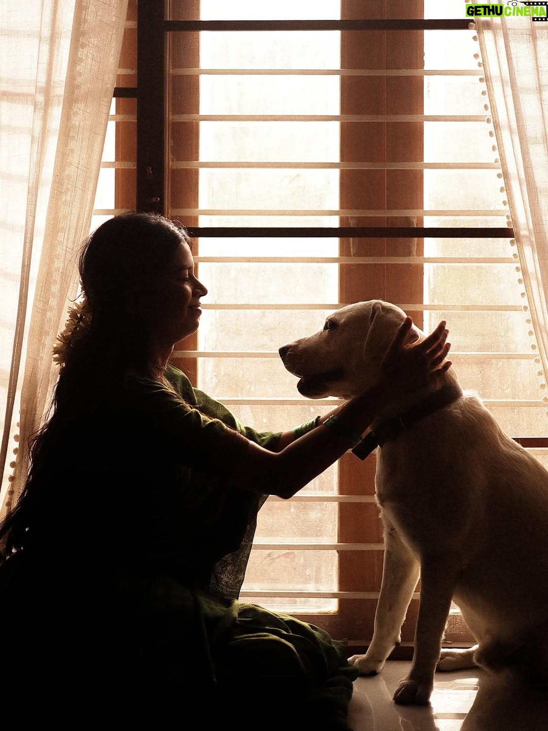 deedoll - 15.7K Likes - Thayaga NAAN Mariduven unakaga 🧿

Ft @deedoll RowDee🌙
Picture perfect @themanoj.stories 🫰🏻

#deedoll #rowdee #dee #🌸 #love #art #frame #dogmom