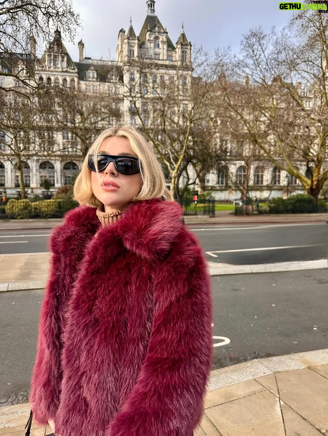 İlay Erkök - 52.8K Likes - LON♥️