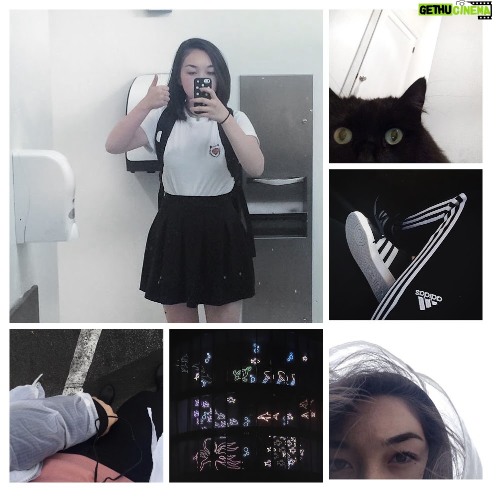 mxmtoon - 59.3K Likes - 2016??!!! okay ill bite… the year i discovered BTS, watched yuri on ice, obsessed over millennial pink, and had really just begun mxmtoon as we know it